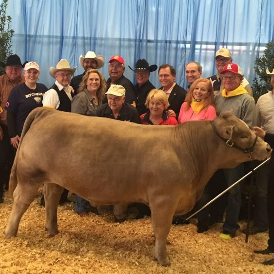 Annual Katy FFA Livestock Auction in 2017